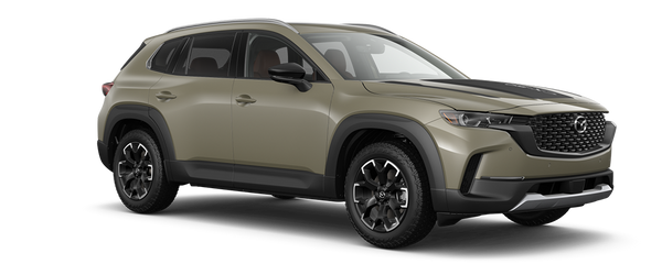 Mazda CX-50 17" Winter Package