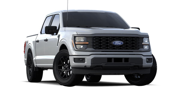 Ford F150 Winter Package