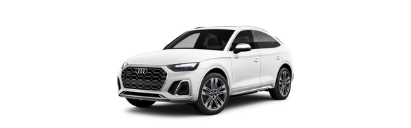 Audi SQ5 Winter Package