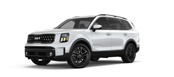 Kia Telluride Winter Package