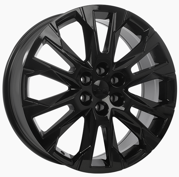 Acura ZDX Winter Package
