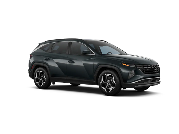 Hyundai Tucson 2022+ Winter Package